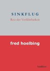Sinkflug 1