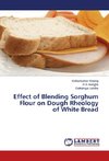 Effect of Blending Sorghum Flour on Dough Rheology of White Bread