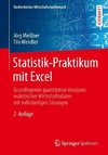 Statistik-Praktikum mit Excel
