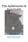 The Adventures of Panther the Cat