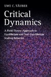 Critical Dynamics