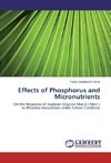 Effects of Phosphorus and Micronutrients