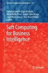 Soft Computing for Business Intelligence