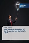 Risk Structure Depending on the Corporate- and Market Life Cycle
