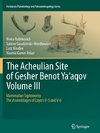 The Acheulian Site of Gesher Benot  Ya'aqov  Volume III