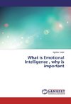 What is Emotional Intelligence , why is important