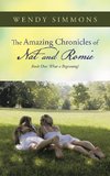 The Amazing Chronicles of Nat and Romie