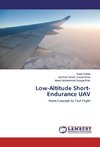 Low-Altitude Short-Endurance UAV