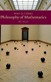 Why Is There Philosophy of Mathematics At             All?
