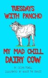 Tuesdays with Pancho, My Mad Chill Dairy Cow