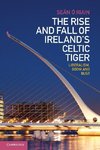 The Rise and Fall of Ireland's Celtic Tiger