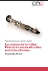 La música de tunditos. Prácticas socioculturales entre los otomíes