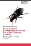 Los Carabidae (Coleoptera) del Macizo del Sueve (Asturias, España)