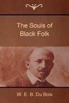 The Souls of Black Folk