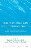 International Law for Common Goods,