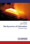 The Dynamics of Calcination