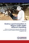 Oestrus synchronization in Nelore cattle under different handling
