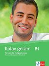 Kolay gelsin! Türkisch für Fortgeschrittene. Kurs- und Übungsbuch mit Audio-CD