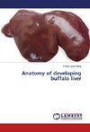 Anatomy of developing buffalo liver