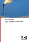 Il mercato del gas naturale