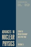 Advances in Nuclear Physics