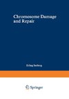 Chromosome Damage and Repair