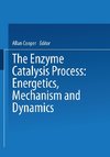 The Enzyme Catalysis Process