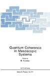 Quantum Coherence in Mesoscopic Systems