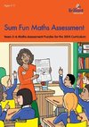 Sum Fun Maths Assessment