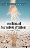 Identifying and Tearing Down Strongholds