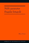 Multi-parameter Singular Integrals, Volume I