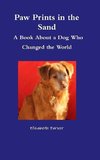 Paw Prints in the Sand- A Book about a Dog Who Changed the World