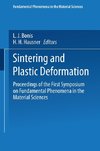 Sintering and Plastic Deformation