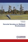 Remote Sensing on Wetland Environment