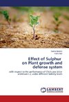 Effect of Sulphur on Plant growth and defense system