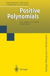 Positive Polynomials