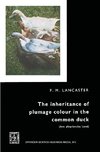 The inheritance of plumage colour in the common duck (Anas platyrhynchos linné)