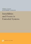 Instabilities and Fronts in Extended Systems