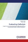 Evaluating Catholyte