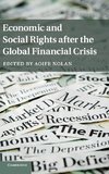Economic and Social Rights after the Global Financial             Crisis