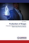 Production of Biogas