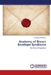 Anatomy of Brown Envelope Syndrome