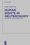 Human Rights in Deuteronomy
