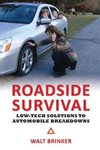 Roadside Survival
