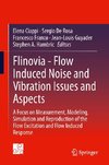 Flinovia - Flow Induced Noise and Vibration Issues and Aspects