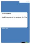 Black Regiments in the American Civil War