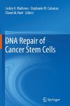DNA Repair of Cancer Stem Cells