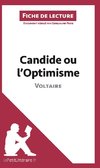 Analyse : Candide ou l'Optimisme de Voltaire  (analyse complète de l'oeuvre et résumé)