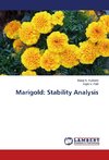 Marigold: Stability Analysis