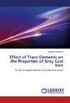 Effect of Trace Elements on the Properties of Gray Cast Iron